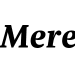 Meret Pro