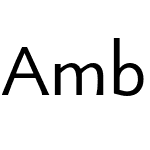 Ambigue Pro