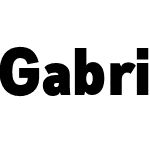 Gabriel Sans Cond Black