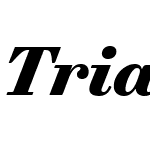 Trianon Caption Web