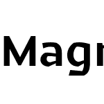 Magnetic Pro
