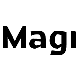 Magnetic Pro