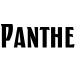 Panther Black