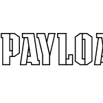 Payload