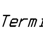TerminusTTF NF