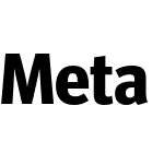 Meta Head Pro