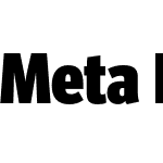 Meta Head Pro