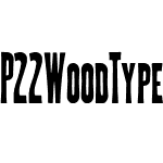 P22 Wood Type