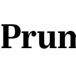 Prumo Text