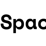 SpaceMono Nerd Font Mono