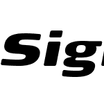 Signa Round Pro