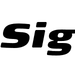 Signa Round Pro