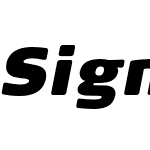 Signa Round Pro