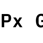 Px Grotesk Mono