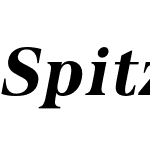 Spitzkant Text