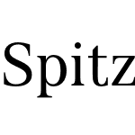 Spitzkant Text