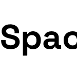 Space Grotesk