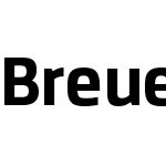 Breuer Text