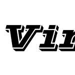 Vinera Italic