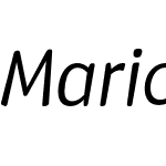 Mario