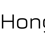 HongQi Type