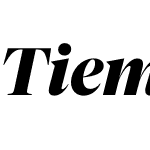 Tiempos Fine