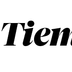 Tiempos Fine