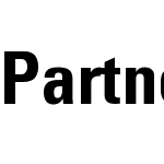 PartnerCondensed