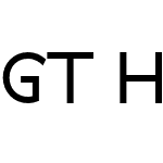 GT Haptik