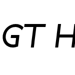 GT Haptik