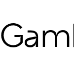 Gambit FD Neue