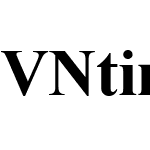 VNtimes New Roman