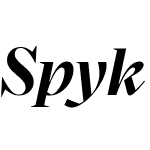 Spyk