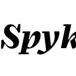 Spyk