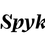 Spyk