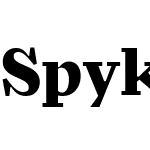 Spyk Text