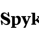 Spyk Text