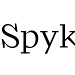 Spyk Text