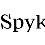 Spyk Text