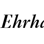 EhrhardtMTW04-SemiBoldIt