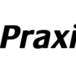 Praxis LT Pro