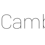CamberW04-Thin