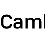 CamberW04-Medium