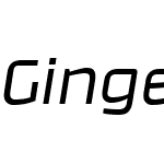 GingerOffcW02-LightItalic