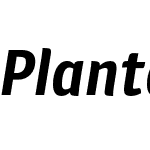 Plantago