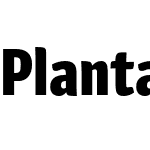 Plantago Condensed