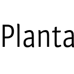 Plantago Condensed