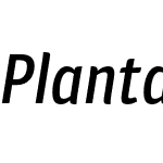 Plantago Condensed