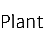 Plantago Extended