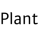 Plantago Extended